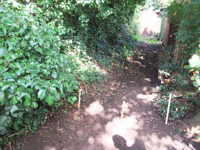 dscf7193.jpg
